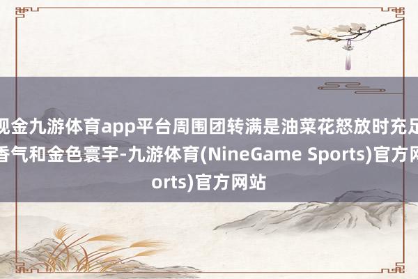 现金九游体育app平台周围团转满是油菜花怒放时充足的香气和金色寰宇-九游体育(NineGame Sports)官方网站