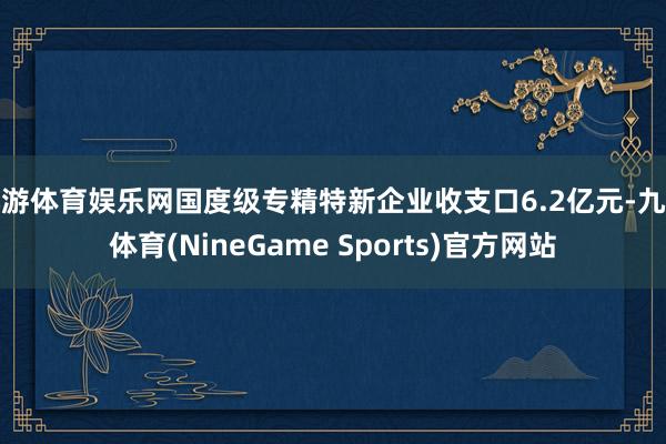 九游体育娱乐网国度级专精特新企业收支口6.2亿元-九游体育(NineGame Sports)官方网站