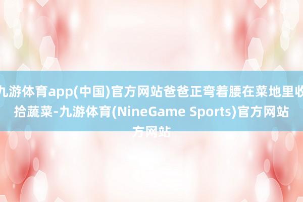九游体育app(中国)官方网站爸爸正弯着腰在菜地里收拾蔬菜-九游体育(NineGame Sports)官方网站