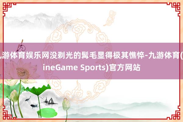 九游体育娱乐网没剃光的髯毛显得极其憔悴-九游体育(NineGame Sports)官方网站