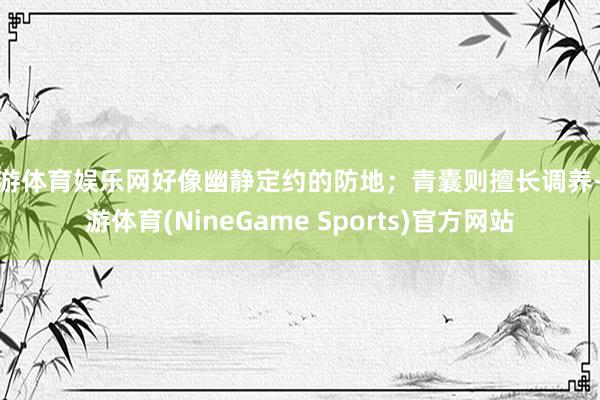 九游体育娱乐网好像幽静定约的防地；青囊则擅长调养-九游体育(NineGame Sports)官方网站