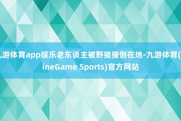 九游体育app娱乐老东谈主被野猪撞倒在地-九游体育(NineGame Sports)官方网站