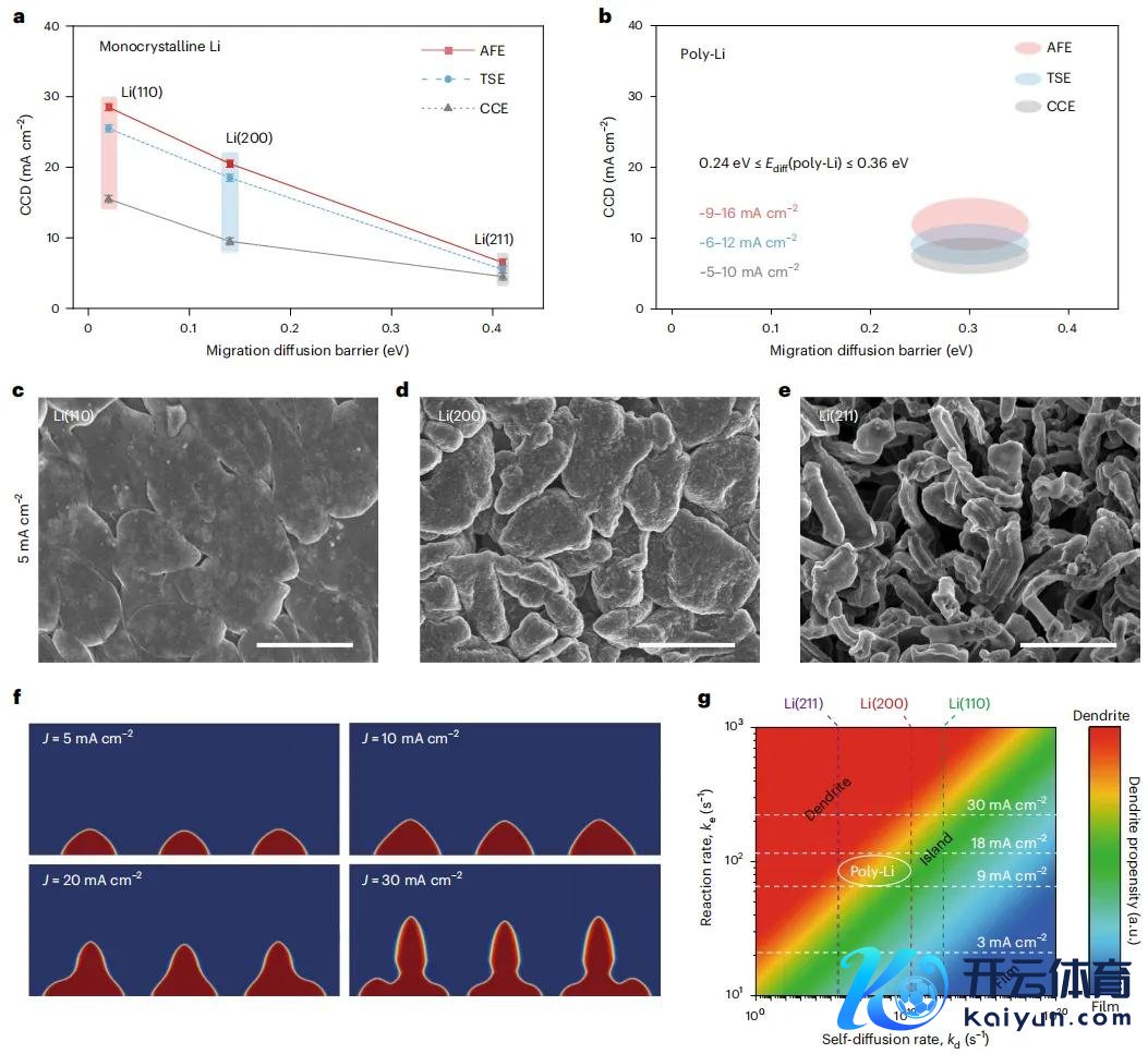 图2. 不同晶面单晶锂的能源学表征。