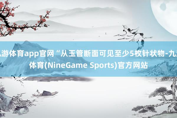 九游体育app官网“从玉管断面可见至少5枚针状物-九游体育(NineGame Sports)官方网站