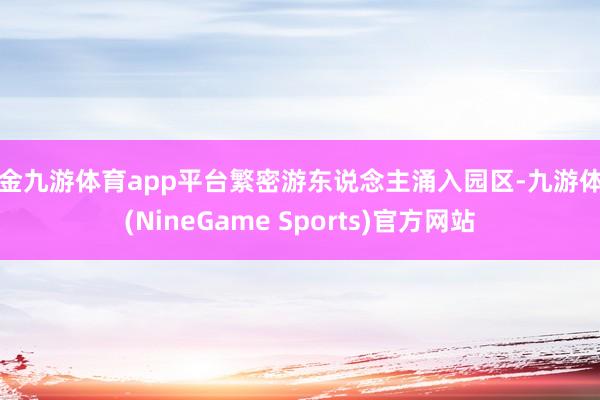 现金九游体育app平台繁密游东说念主涌入园区-九游体育(NineGame Sports)官方网站
