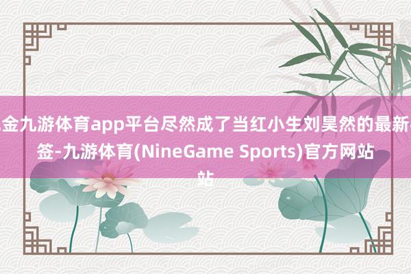 现金九游体育app平台尽然成了当红小生刘昊然的最新标签-九游体育(NineGame Sports)官方网站