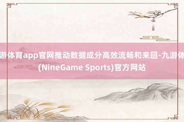九游体育app官网推动数据成分高效流畅和来回-九游体育(NineGame Sports)官方网站