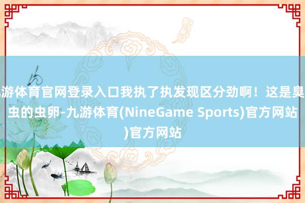 九游体育官网登录入口我执了执发现区分劲啊！这是臭屁虫的虫卵-九游体育(NineGame Sports)官方网站