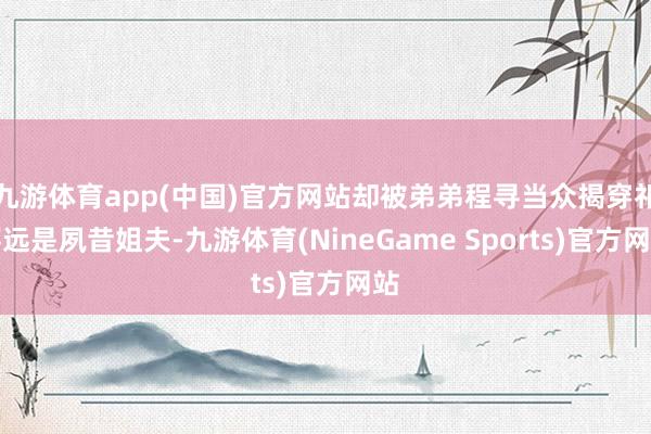 九游体育app(中国)官方网站却被弟弟程寻当众揭穿祁怀远是夙昔姐夫-九游体育(NineGame Sports)官方网站