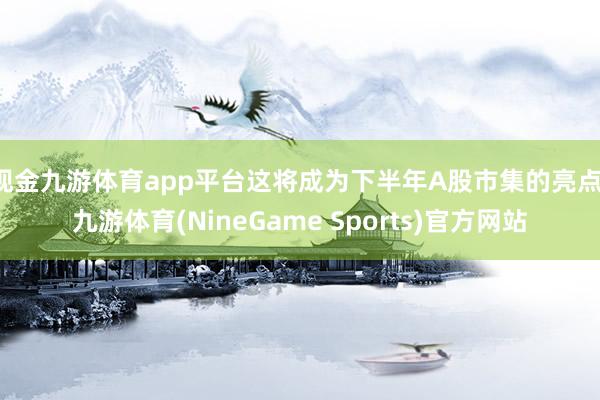 现金九游体育app平台这将成为下半年A股市集的亮点-九游体育(NineGame Sports)官方网站